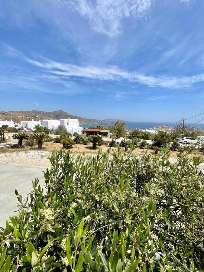 Infinity View Villas Mykonos Kalo Livadi Bagian luar foto